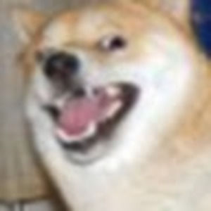 Meet your Posher, Dogeking